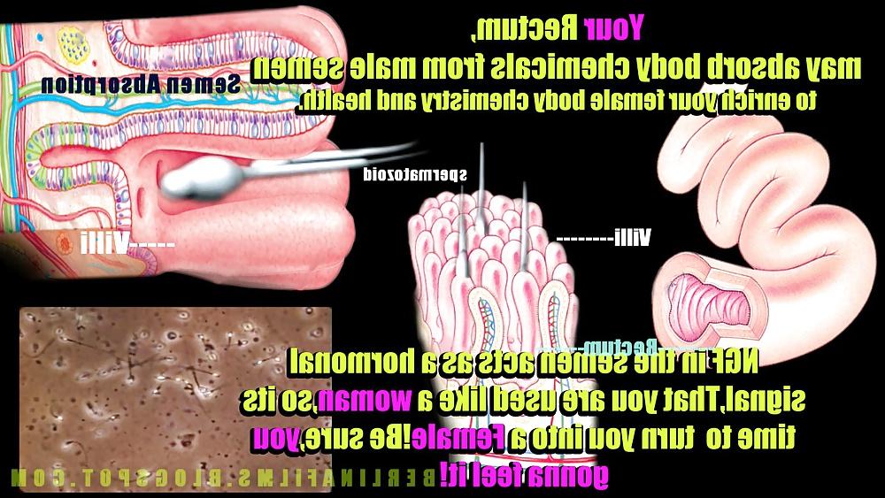 14P Shemale Aanatomy(Some kind of sissy-trainer)