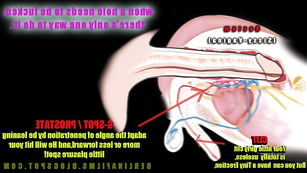14P Shemale Aanatomy(Some kind of sissy-trainer)