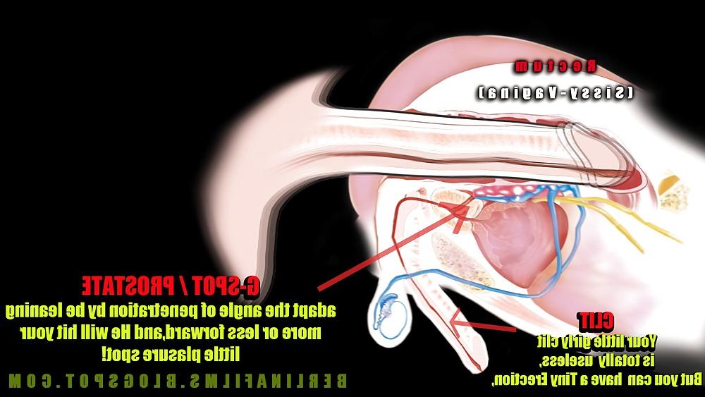 14P Shemale Aanatomy(Some kind of sissy-trainer)