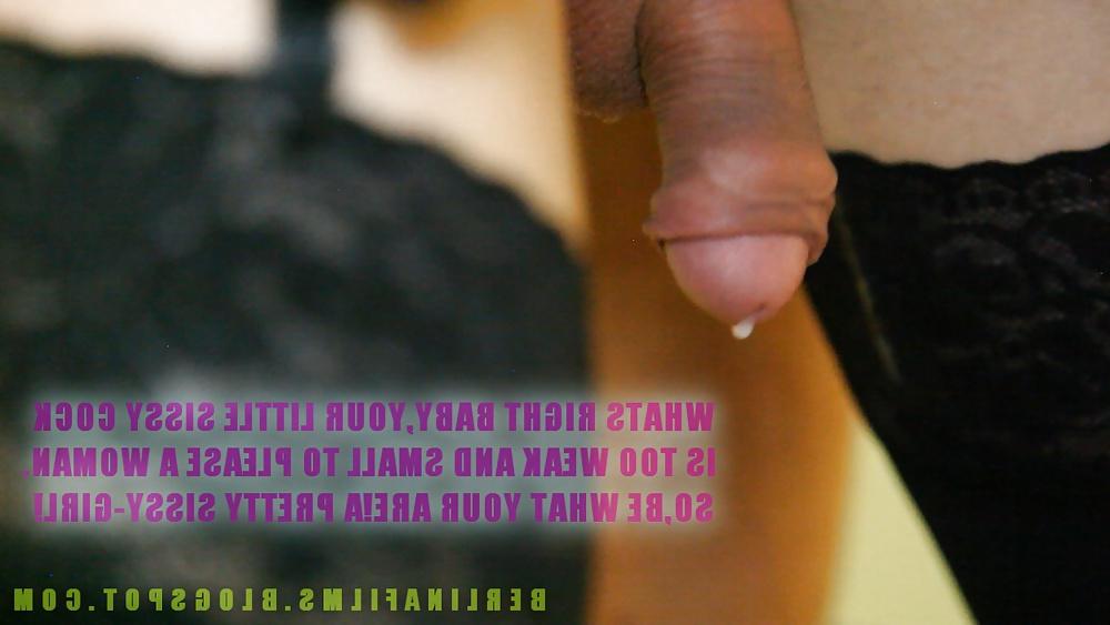 14P Shemale Aanatomy(Some kind of sissy-trainer)