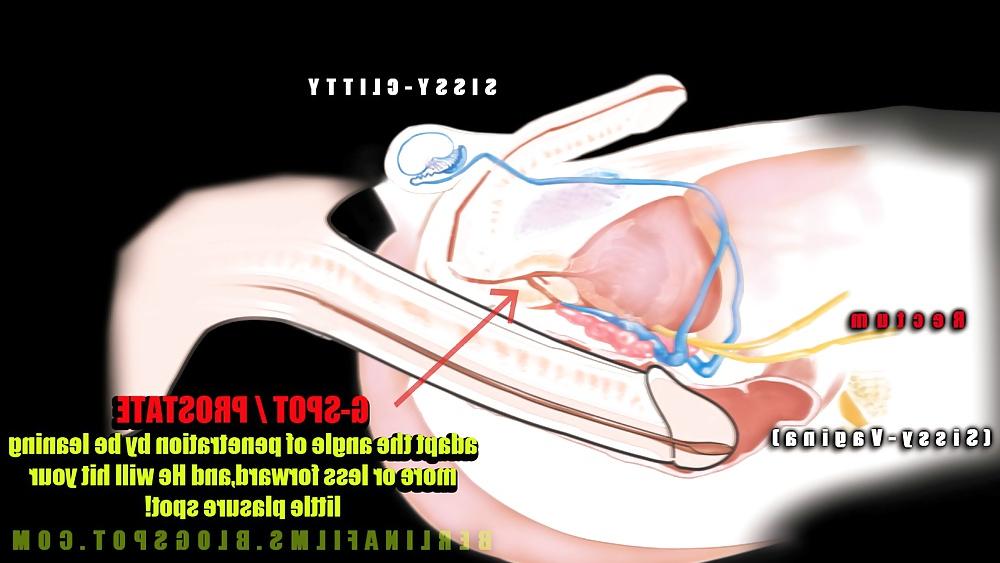 14P Shemale Aanatomy(Some kind of sissy-trainer)