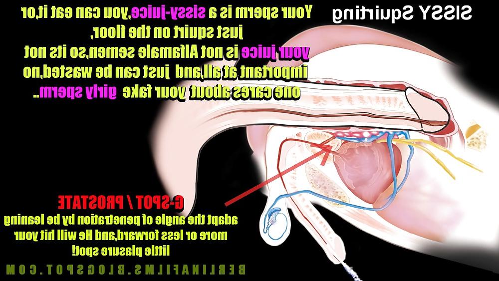 14P Shemale Aanatomy(Some kind of sissy-trainer)