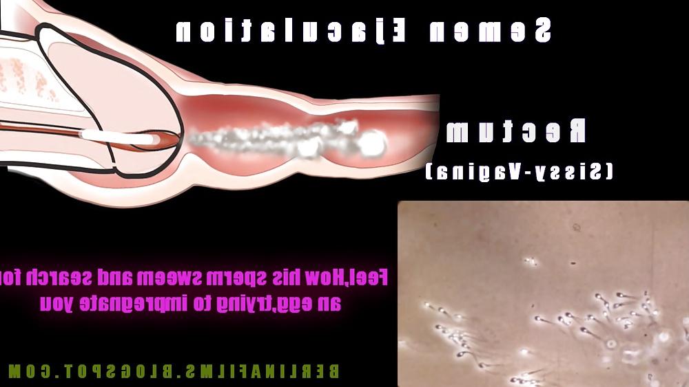14P Shemale Aanatomy(Some kind of sissy-trainer)