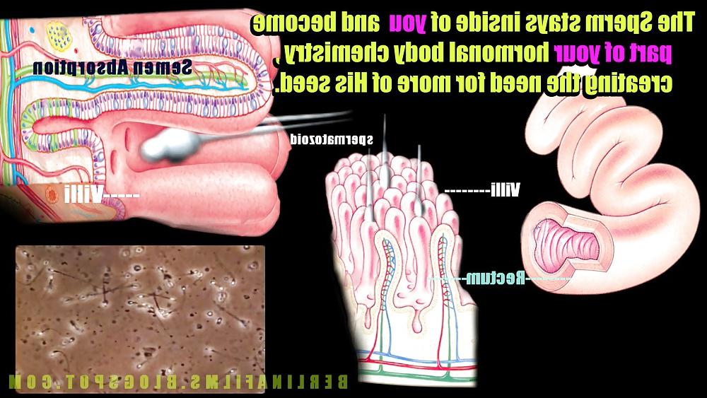 14P Shemale Aanatomy(Some kind of sissy-trainer)