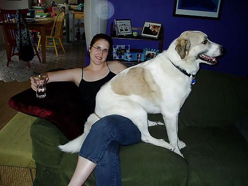 10P HOT FUNNY ART DOGS