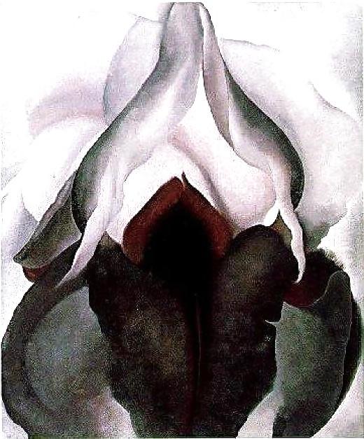 25P Gender Art 2 - Vulva (2)