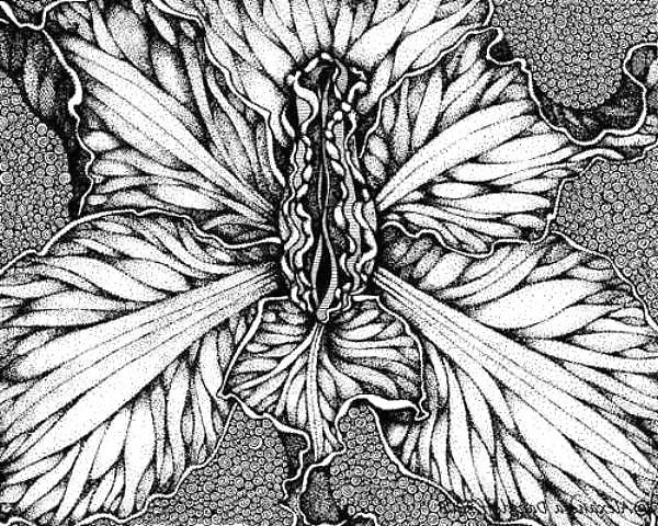 25P Gender Art 2 - Vulva (2)