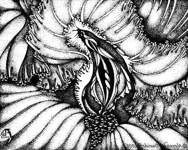25P Gender Art 2 - Vulva (2)