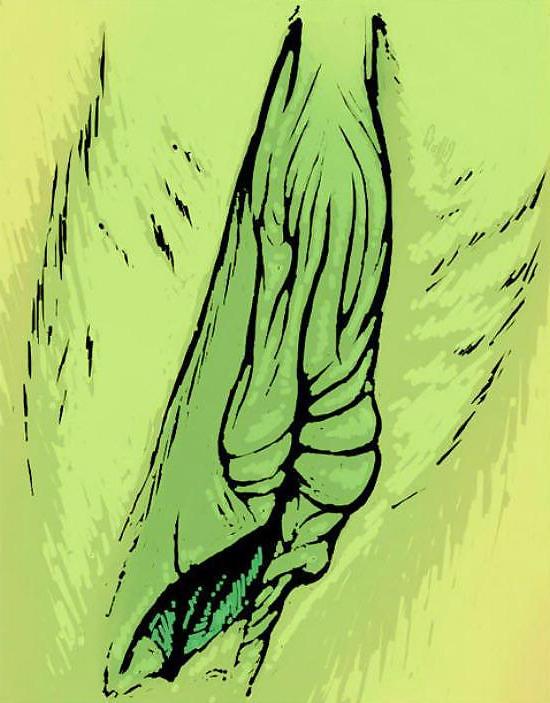 25P Gender Art 2 - Vulva (2)