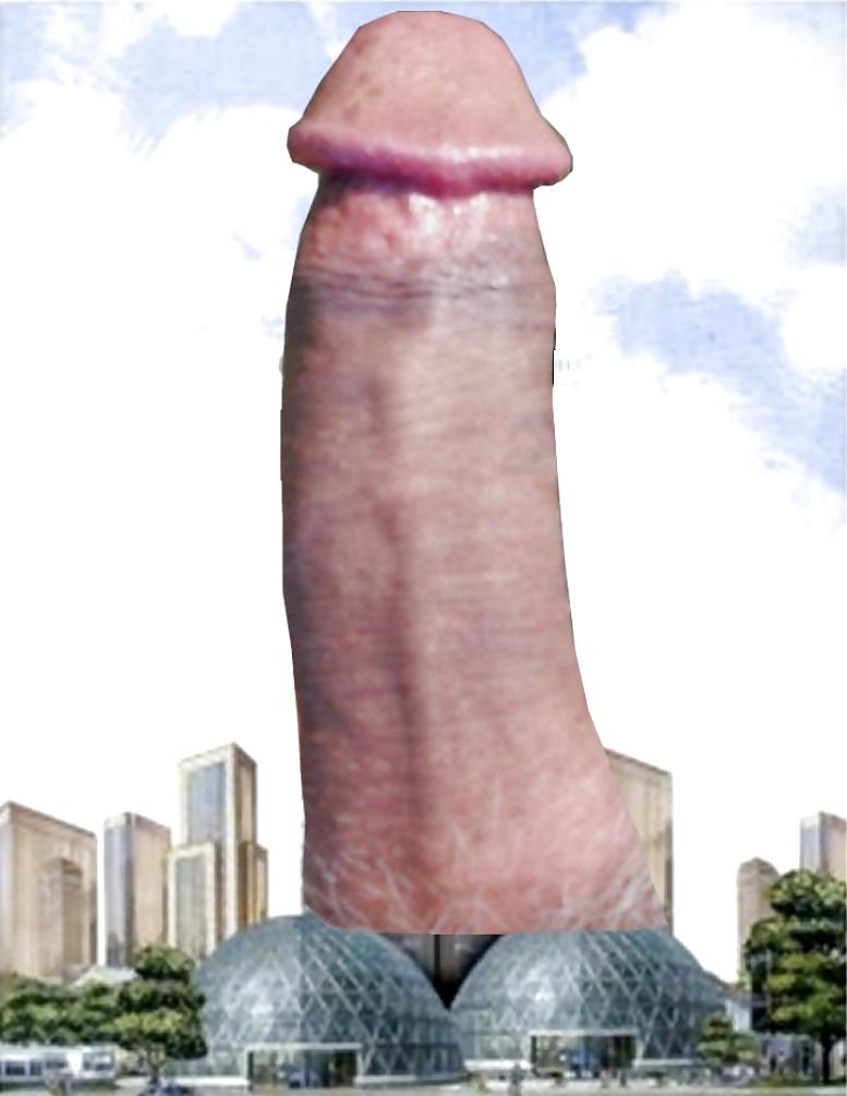 25P Cock Art 2