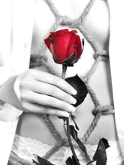 25P BDSM, Bondage,Pets & Art 8