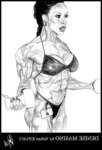 22P MUSCLE ART