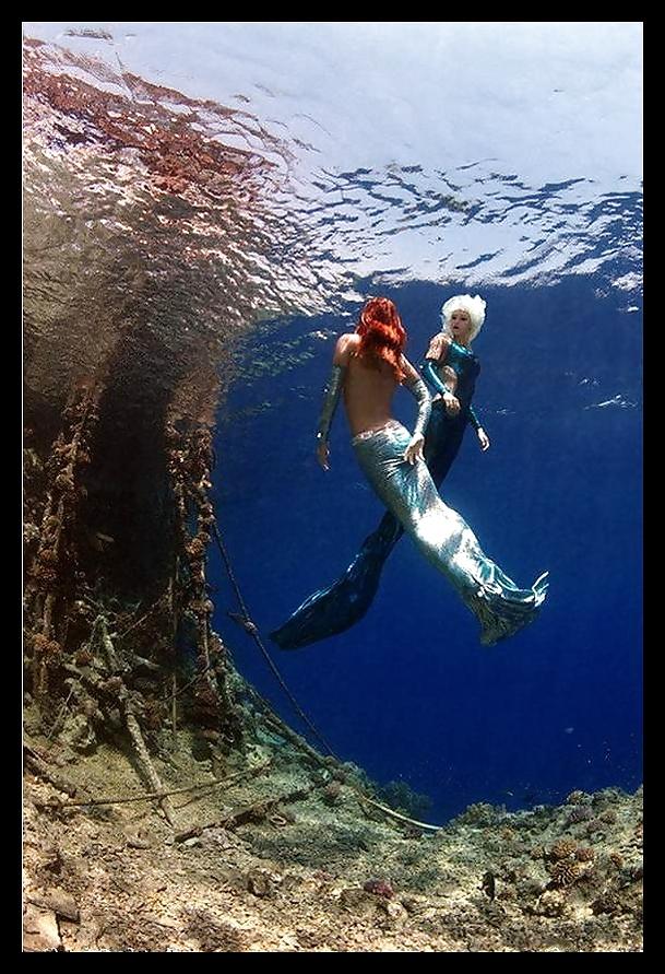 25P Underwater Art Anatoly Beloshchin for Black--Widow