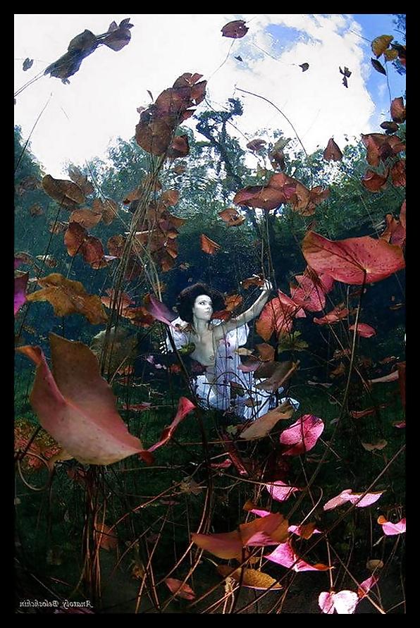 25P Underwater Art Anatoly Beloshchin for Black--Widow