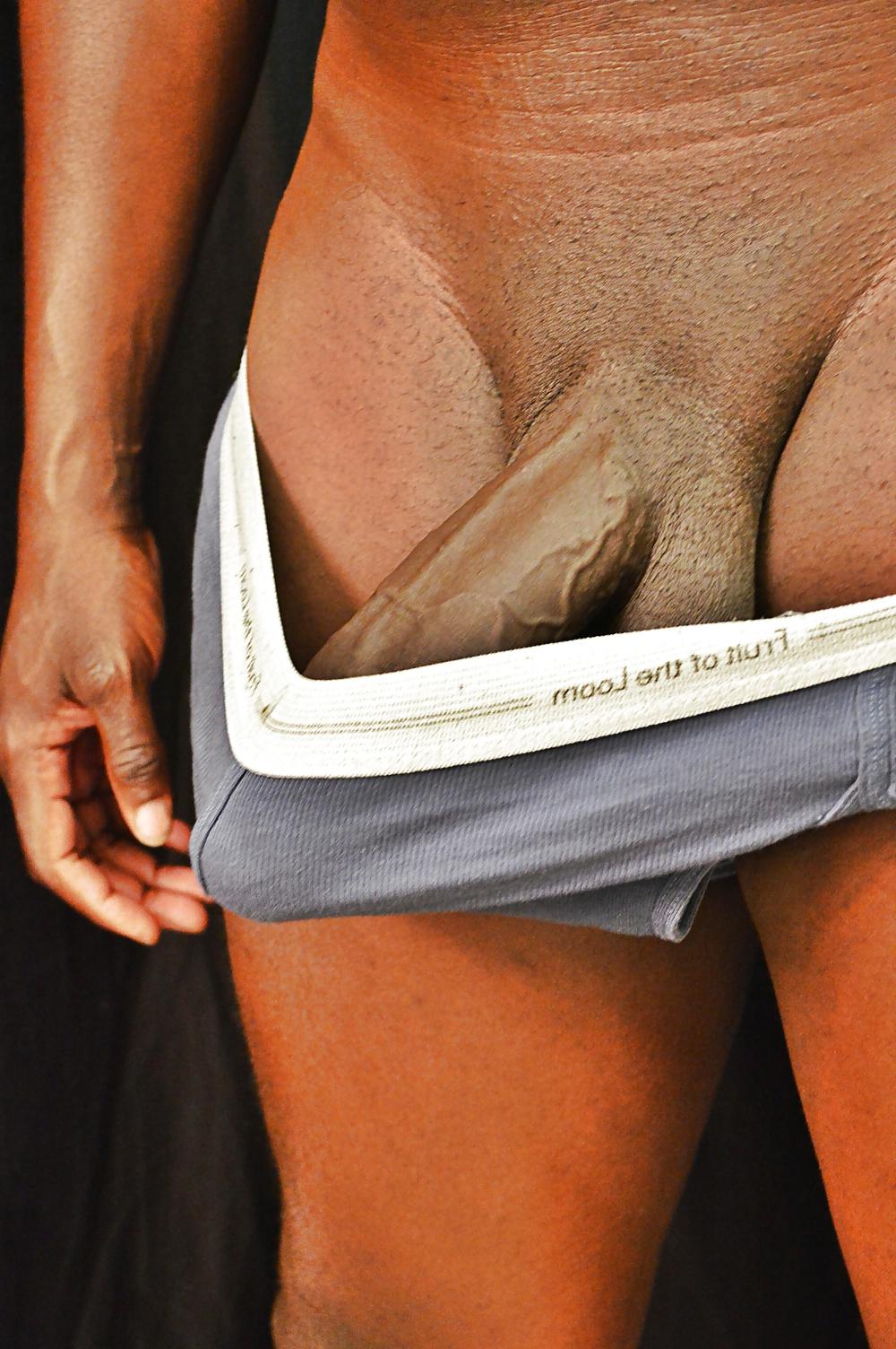 17P Big Black Cock in Briefs 