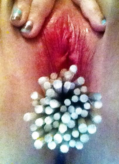 8P Play time with sir 