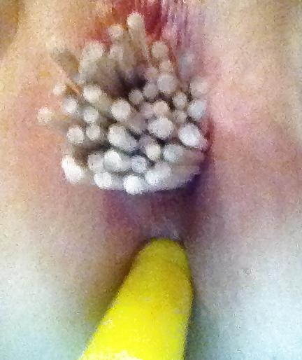8P Play time with sir 