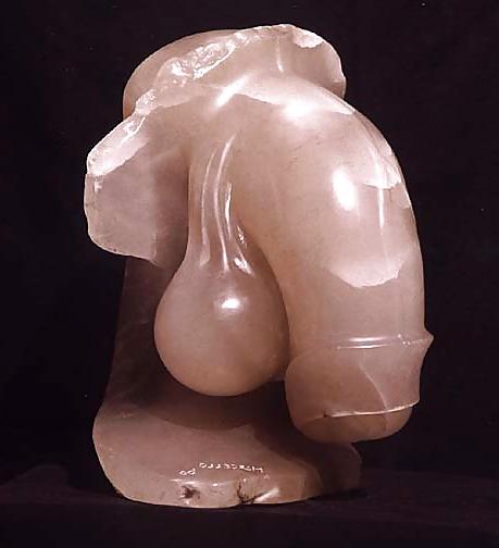 25P Gender Art 6 - Penis and Phallus 3