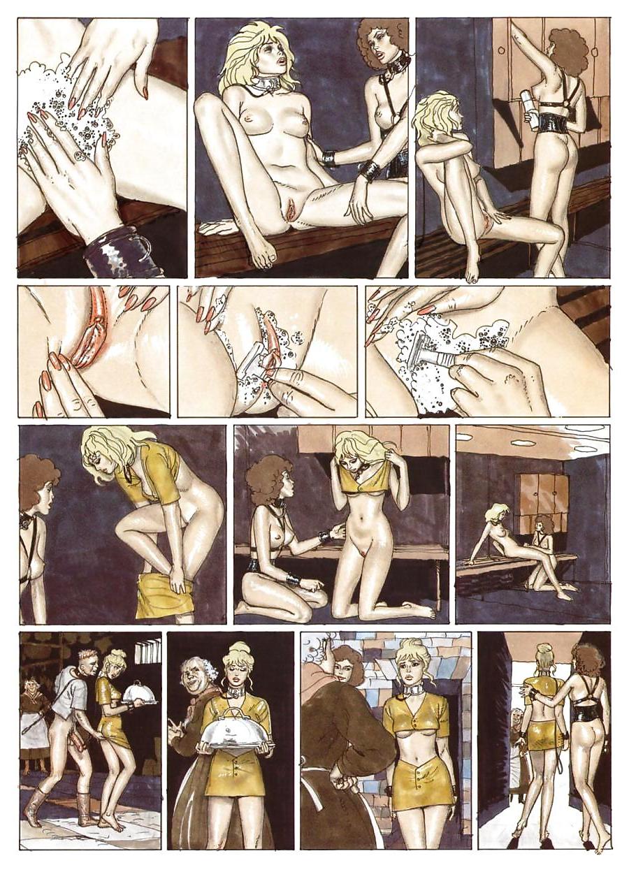 25P Erotic Comic Art 16   - The Dream of Cecilia