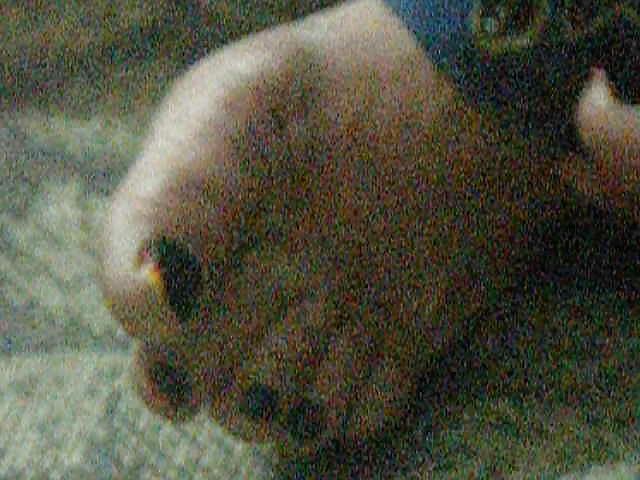 4P My Sexy mature arab feet