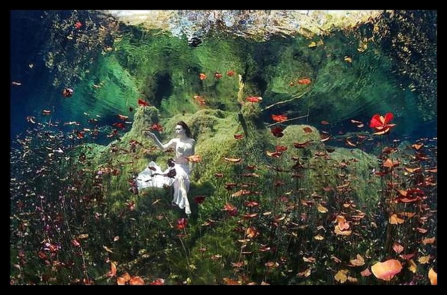 25P Underwater Art Anatoly Beloshchin for Black--Widow II