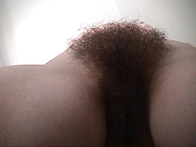 8P Little Miss Muff