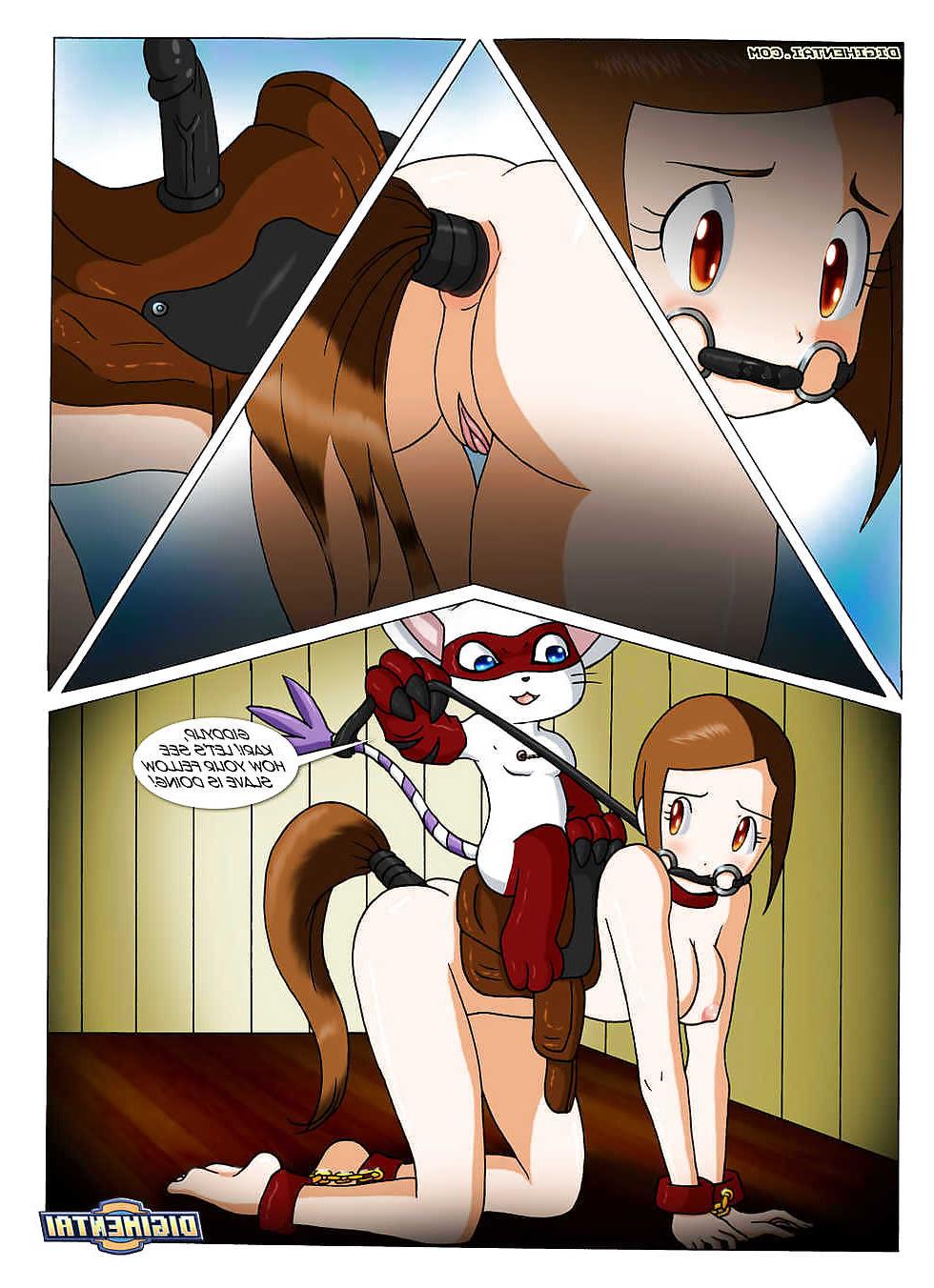 13P When Pets Play
