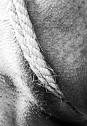 25P BW ART-TO ANA ISABEL
