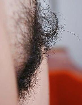 10P Beautiful female hairy pussys, cunts, vaginas