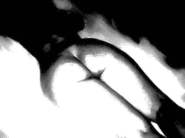 25P B&W Big Booty and Tight Ass Art