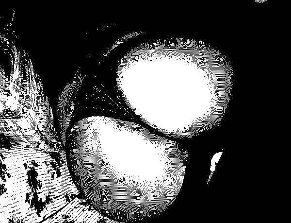 25P B&W Big Booty and Tight Ass Art