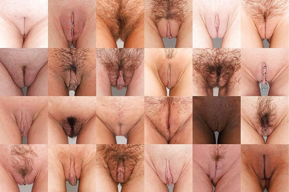 25P Female anatomy