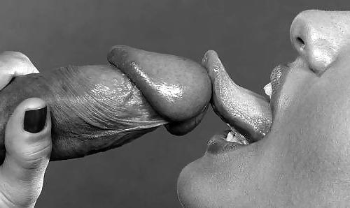 16P The tongue remains the same