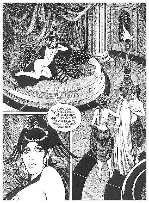 25P Erotic Comic Art 26 - The Countess in Red 