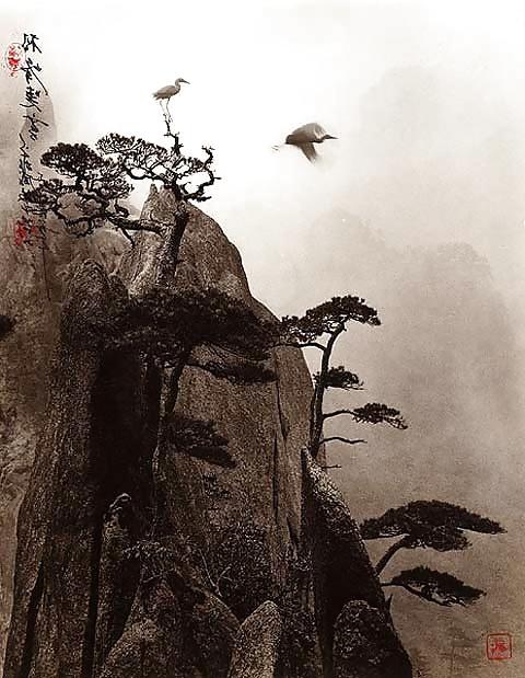 25P Chinese serenity....