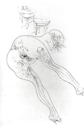 25P Drawn EroPorn Art 84 - Hans Bellmer
