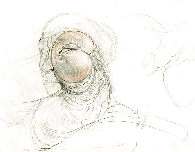 25P Drawn EroPorn Art 84 - Hans Bellmer