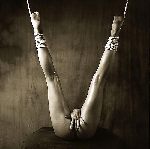 25P Bondage art ...