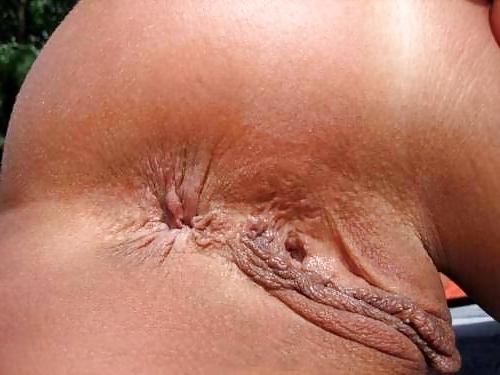 17P Fleshy pussylips - N. C. 