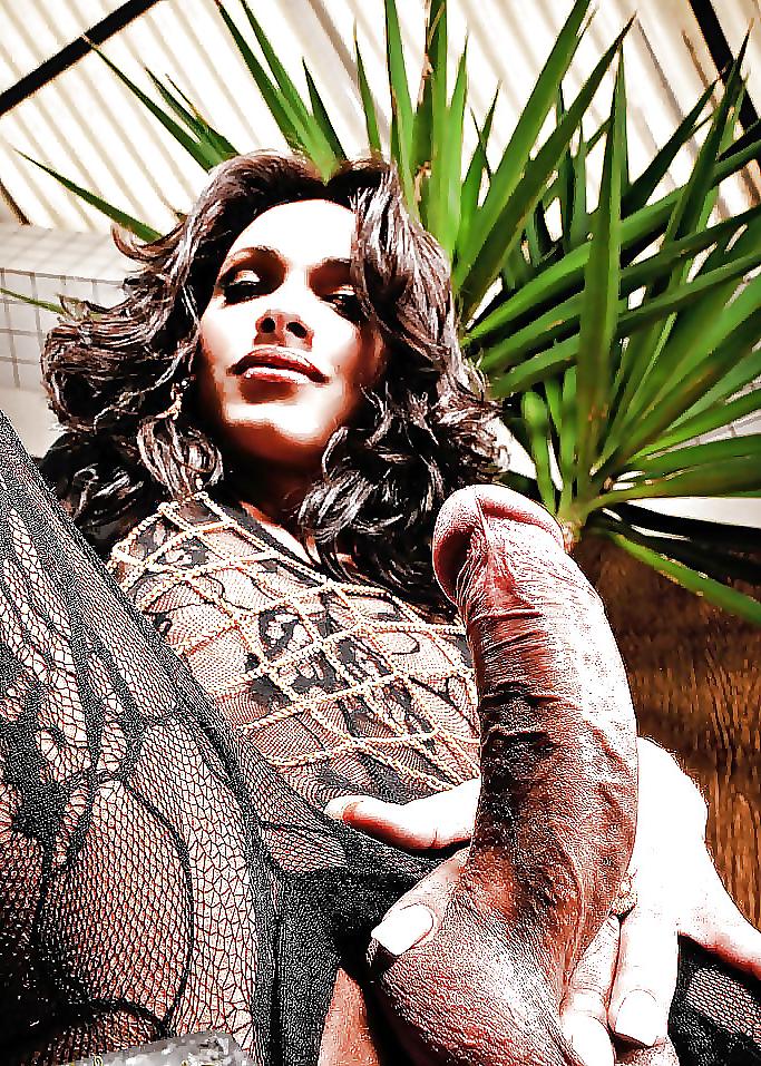 25P Hard Tranny Cock Nine