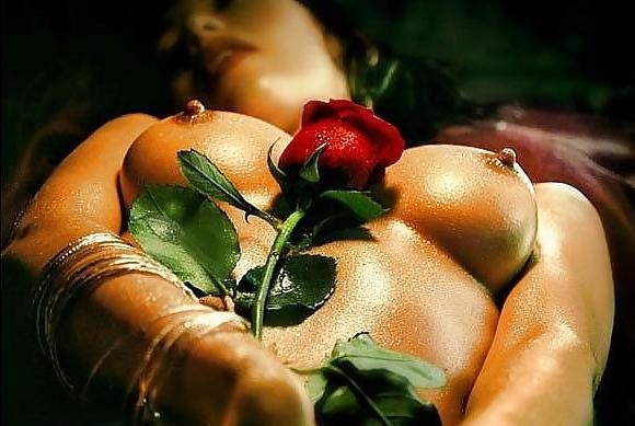 23P Erotic Art of Roses - Session 6