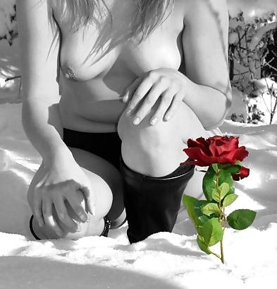 23P Erotic Art of Roses - Session 6