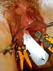 16P Pussy Torture
