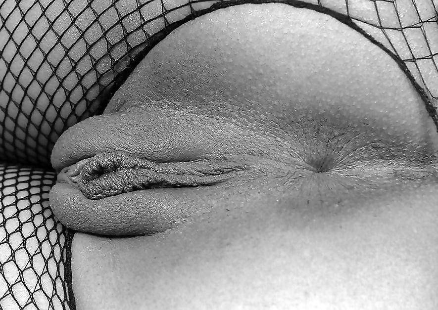 24P Black & White Art - 03