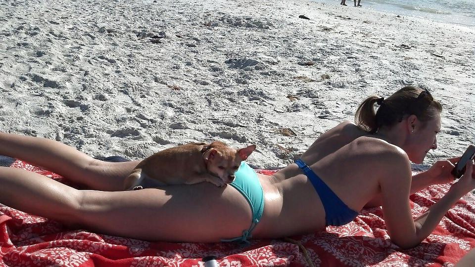 15P Cute girls with nice tits and ass facebook pics
