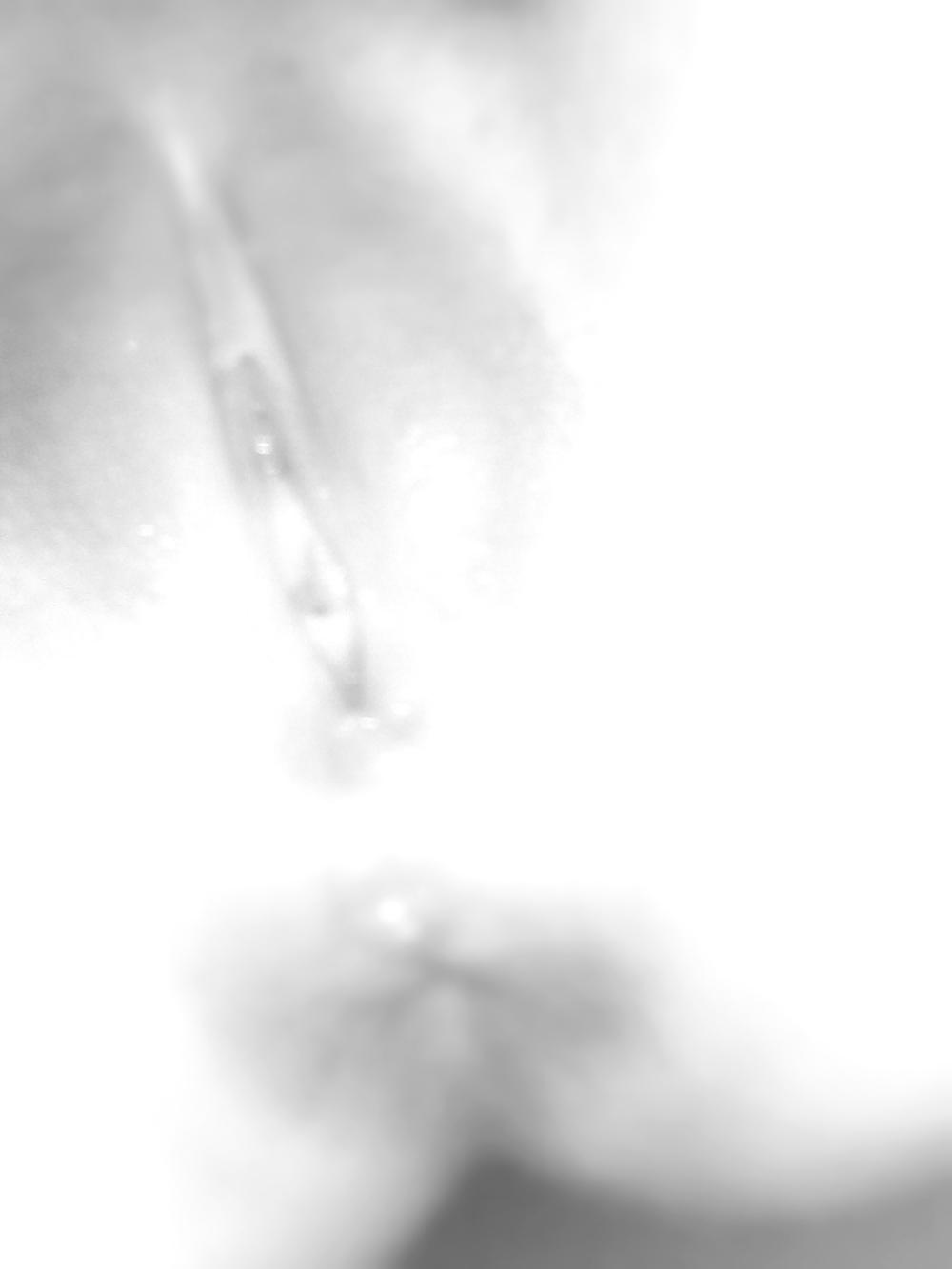 20P Art L7