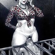 25P BBW ART 2