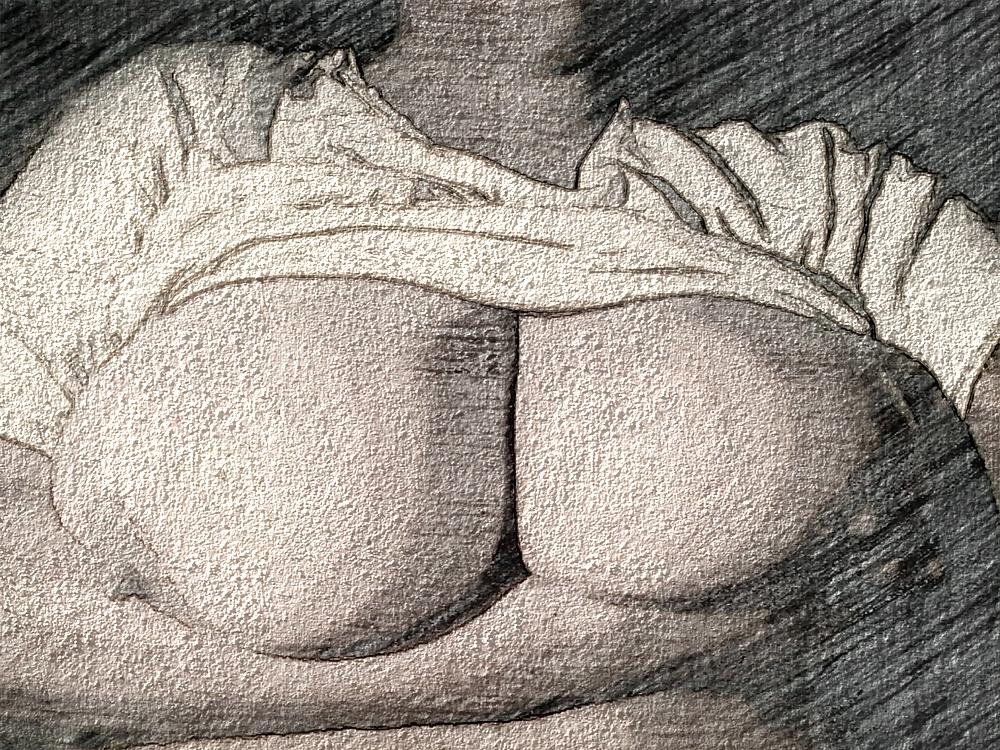25P My bbw's titty art public