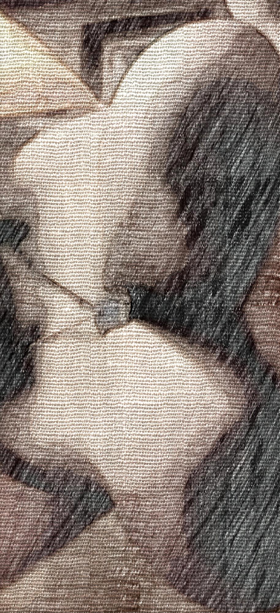 25P My bbw's titty art public