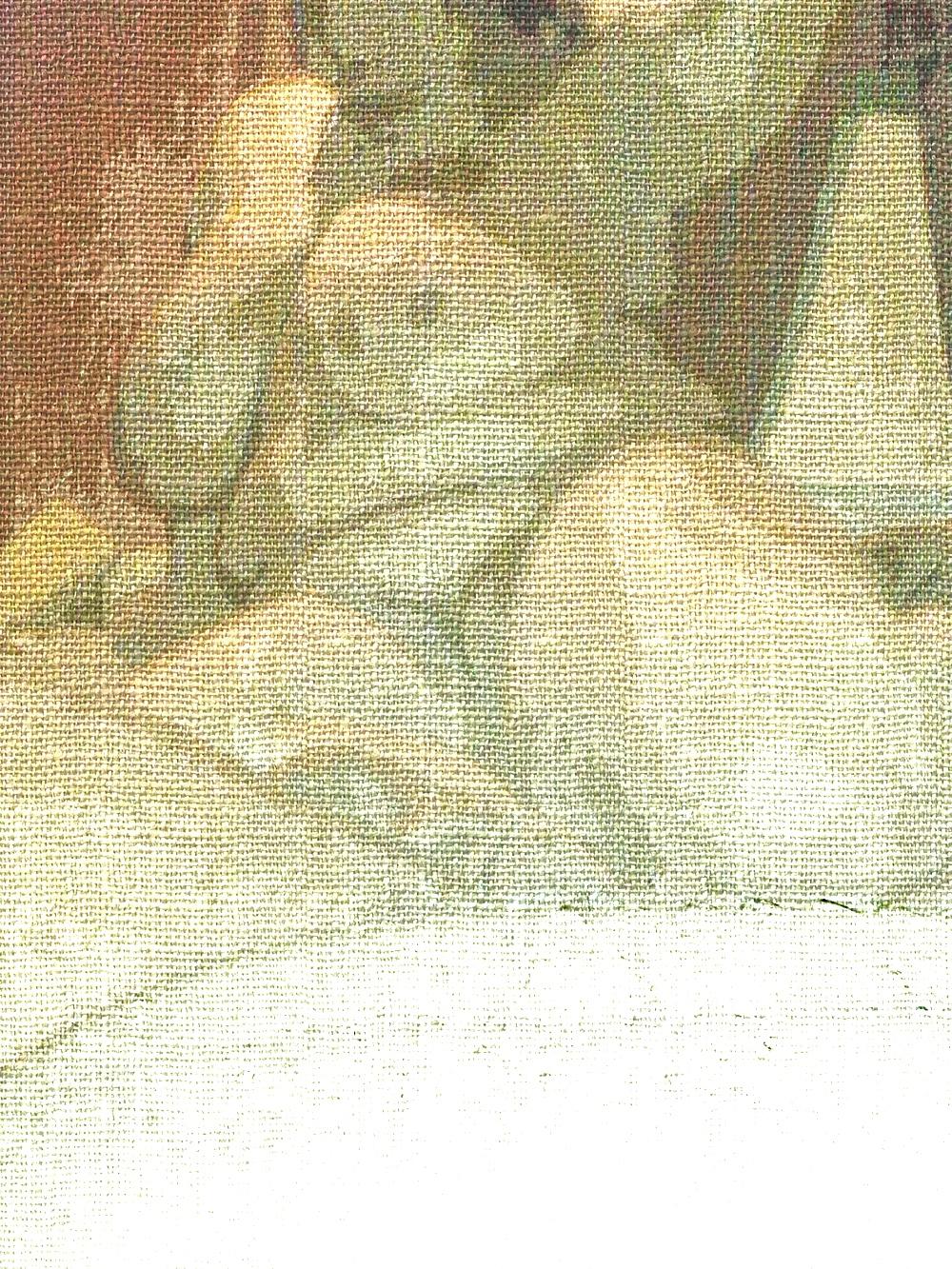25P My bbw's titty art public